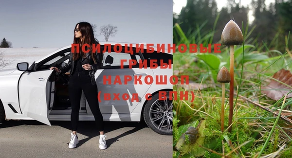 дживик Лабытнанги