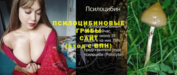apvp Ладушкин