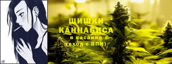 apvp Ладушкин