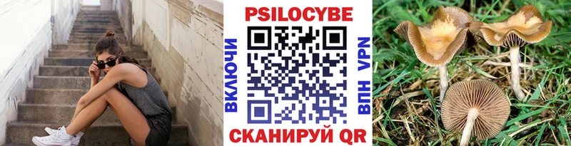 Псилоцибиновые грибы мухоморы  Купить  Троицк 